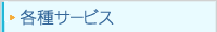 �e��T�[�r�X
