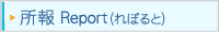 ���� Report(��ۂ��)